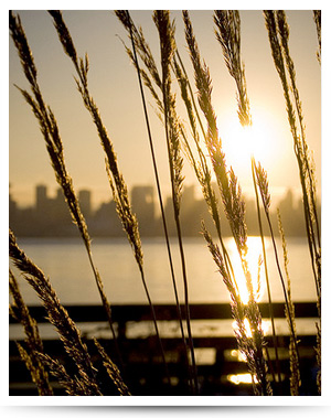Photo  of Vancouver